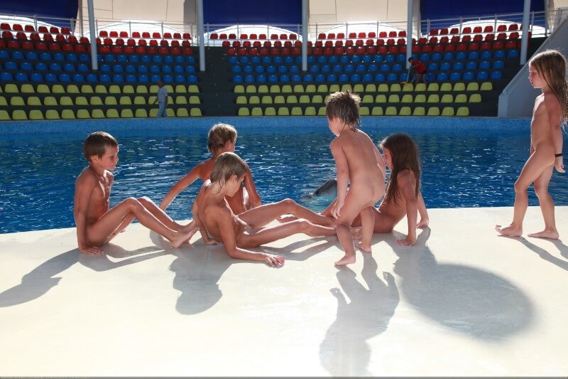 Swimming dolphins photo gallery - Poor naked people and rich naked people in one place