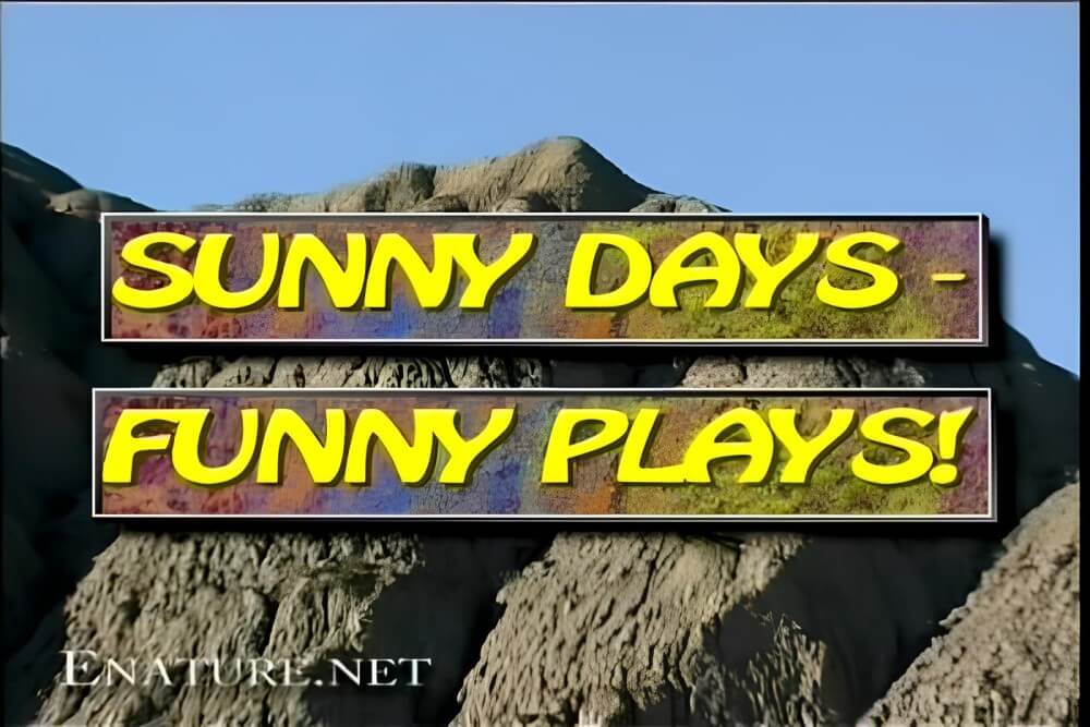 Enature - Sunny Days – Funny Plays - Not being afraid of nudity is the path to inner freedom and harmony