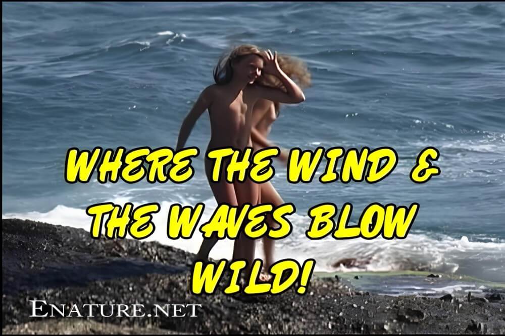 Enature - Where the Wind and the Waves Blow Wild! - Living freely and naturally is the dream of naturists