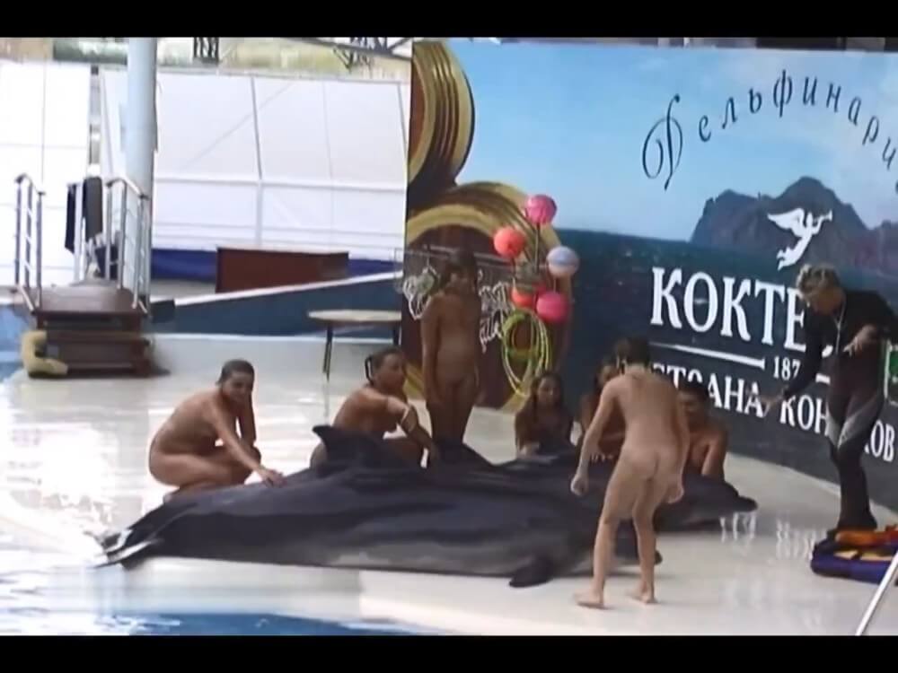 Relaxing at the dolphinarium - The idea of personal freedom and self-acceptance is important in our nudist community