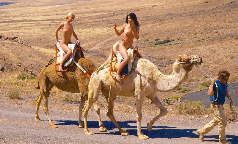 Funny Moments Life pics - Naturists respect each other and those around them
